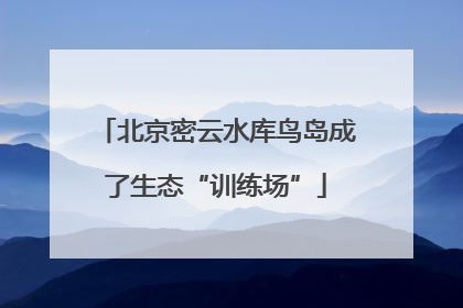 北京密云水库鸟岛成了生态“训练场”