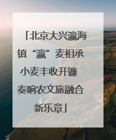 北京大兴瀛海镇“瀛”麦相承小麦丰收开镰 奏响农文旅融合新乐章