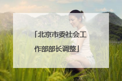 北京市委社会工作部部长调整