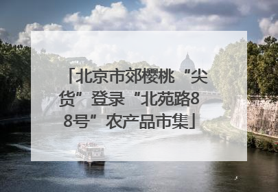 北京市郊樱桃“尖货”登录“北苑路88号”农产品市集