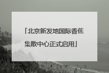 北京新发地国际香蕉集散中心正式启用