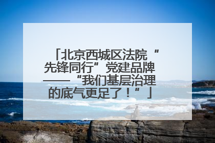 北京西城区法院“先锋同行”党建品牌——“我们基层治理的底气更足了！”