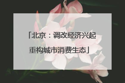 北京：调改经济兴起 重构城市消费生态