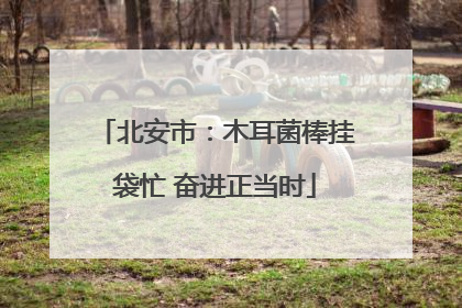 北安市：木耳菌棒挂袋忙 奋进正当时