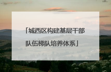 城西区构建基层干部队伍梯队培养体系