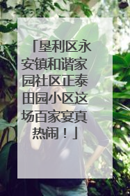 垦利区永安镇和谐家园社区正泰田园小区这场百家宴真热闹！