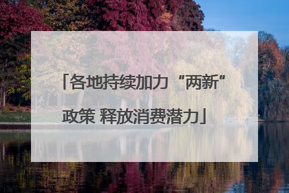 各地持续加力“两新”政策 释放消费潜力