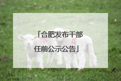 合肥发布干部任前公示公告