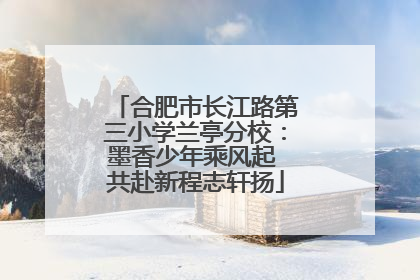 合肥市长江路第三小学兰亭分校：墨香少年乘风起 共赴新程志轩扬