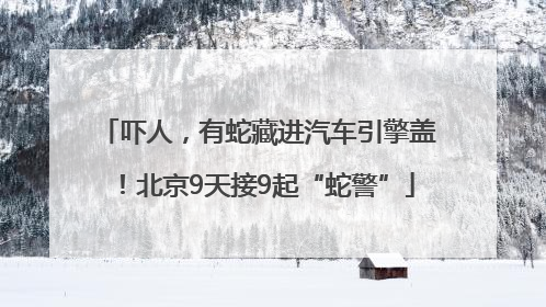 吓人，有蛇藏进汽车引擎盖！北京9天接9起“蛇警”