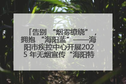 告别 “烟雾缭绕”，拥抱 “海阳蓝”——海阳市疾控中心开展2025 年无烟宣传“海阳特色”实践记录