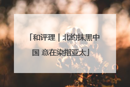 和评理｜北约抹黑中国 意在染指亚太