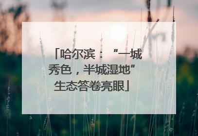 哈尔滨：“一城秀色，半城湿地”生态答卷亮眼