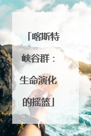 喀斯特峡谷群：生命演化的摇篮