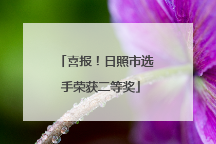 喜报！日照市选手荣获二等奖