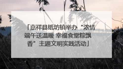 嘉祥县纸坊镇举办“浓情端午送温暖 幸福食堂粽飘香”主题文明实践活动