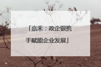 嘉禾：政企银携手赋能企业发展