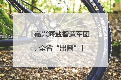 嘉兴海盐智造军团，全省“出圈”