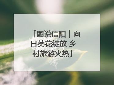 图说信阳｜向日葵花绽放 乡村旅游火热