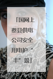 国网上蔡县供电公司安全用电护“丰”景
