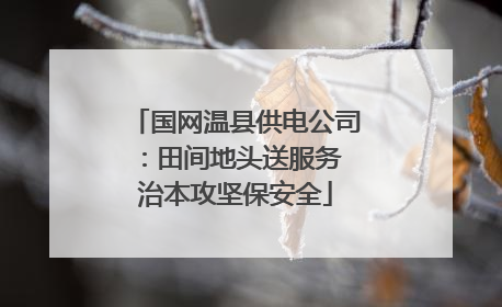 国网温县供电公司：田间地头送服务 治本攻坚保安全
