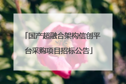 国产超融合架构信创平台采购项目招标公告