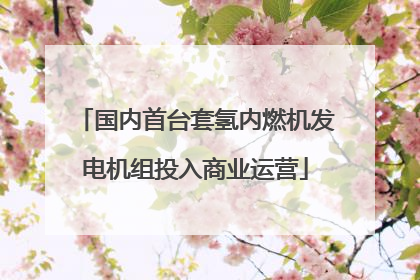 国内首台套氢内燃机发电机组投入商业运营