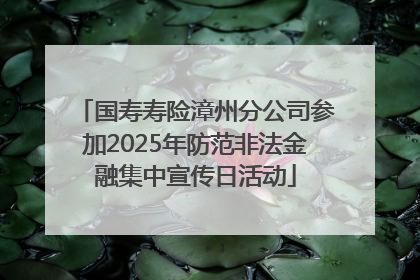 国寿寿险漳州分公司参加2025年防范非法金融集中宣传日活动