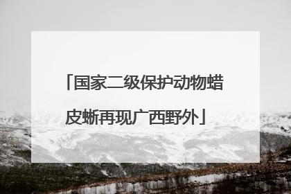 国家二级保护动物蜡皮蜥再现广西野外