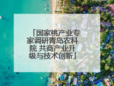 国家桃产业专家调研青岛农科院 共商产业升级与技术创新