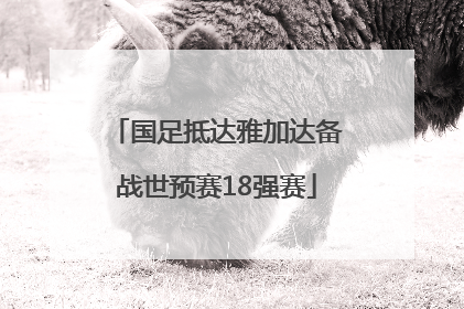 国足抵达雅加达备战世预赛18强赛