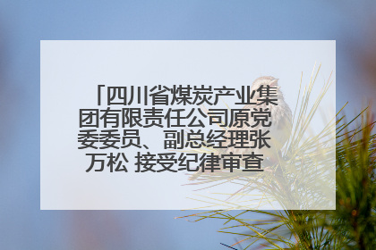 四川省煤炭产业集团有限责任公司原党委委员、副总经理张万松 接受纪律审查和监察调查