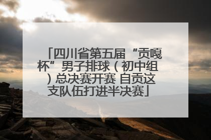 四川省第五届“贡嘎杯”男子排球（初中组）总决赛开赛 自贡这支队伍打进半决赛