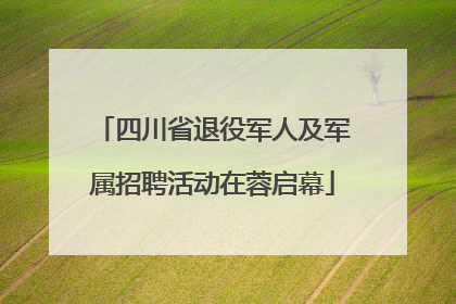四川省退役军人及军属招聘活动在蓉启幕