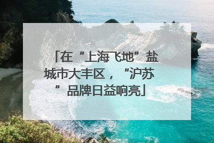 在“上海飞地”盐城市大丰区，“沪苏”品牌日益响亮
