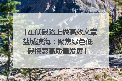 在低碳路上做高效文章 盐城滨海：聚焦绿色低碳探索高质量发展