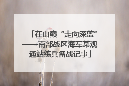 在山巅“走向深蓝”——南部战区海军某观通站练兵备战记事