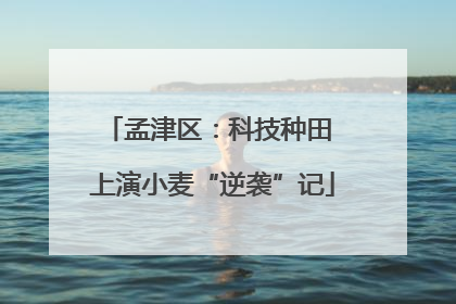 孟津区：科技种田 上演小麦“逆袭”记