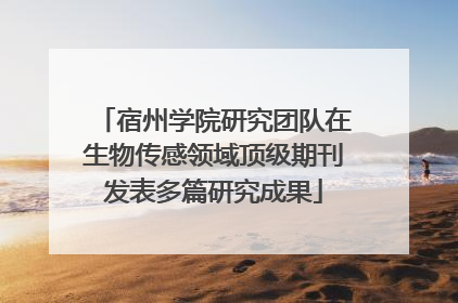 宿州学院研究团队在生物传感领域顶级期刊发表多篇研究成果