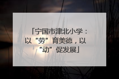宁国市津北小学:以“劳”育美德,以“动”促发展