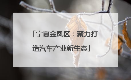 宁夏金凤区：聚力打造汽车产业新生态