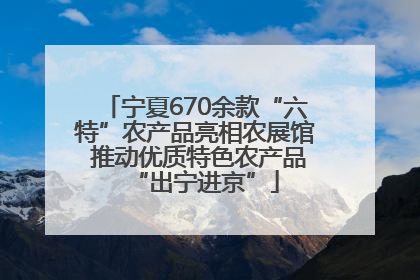 宁夏670余款“六特”农产品亮相农展馆 推动优质特色农产品“出宁进京”