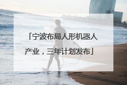 宁波布局人形机器人产业，三年计划发布