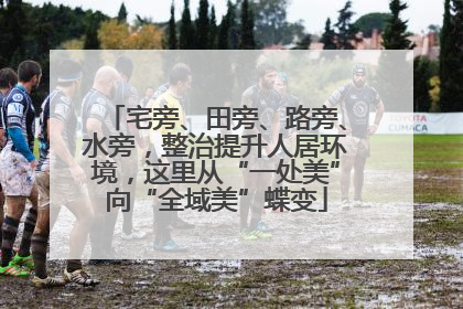 宅旁、田旁、路旁、水旁，整治提升人居环境，这里从“一处美”向“全域美”蝶变