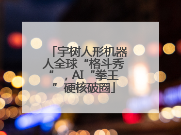 宇树人形机器人全球“格斗秀”，AI“拳王”硬核破圈