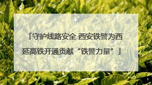 守护线路安全 西安铁警为西延高铁开通贡献“铁警力量”