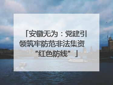 安徽无为：党建引领筑牢防范非法集资“红色防线”