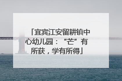 宜宾江安留耕镇中心幼儿园：“芒”有所获，学有所得