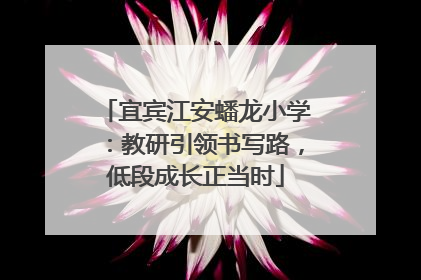 宜宾江安蟠龙小学：教研引领书写路，低段成长正当时