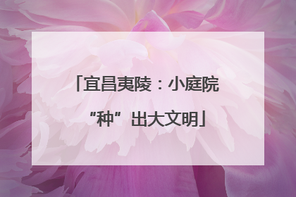 宜昌夷陵：小庭院“种”出大文明